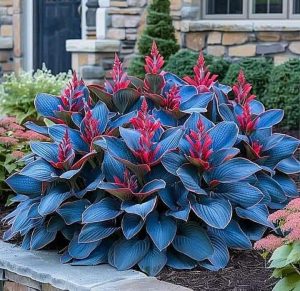 Хоста Грин Фог купить по цене от 669р. в интернет-магазине «Посадика» с доставкой почтой в в Гагарине и по всей России – [изображение №1].