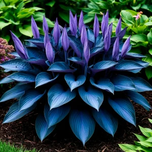 Хоста Сикрет Гров купить по цене от 570р. в интернет-магазине «Посадика» с доставкой почтой в в Гагарине и по всей России – [изображение №1].