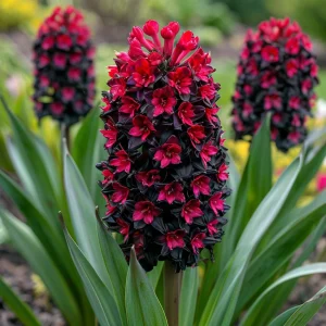 Гиацинт Джем Стоун купить по цене от 2099р. в интернет-магазине «Посадика» с доставкой почтой в в Гагарине и по всей России – [изображение №1].