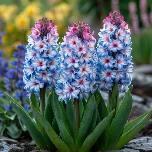 Гиацинт Пинк Мари купить по цене от 2099р. в интернет-магазине «Посадика» с доставкой почтой в в Гагарине и по всей России – [изображение №1].