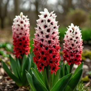 Гиацинт Скай Гарден купить по цене от 2099р. в интернет-магазине «Посадика» с доставкой почтой в в Гагарине и по всей России – [изображение №1].